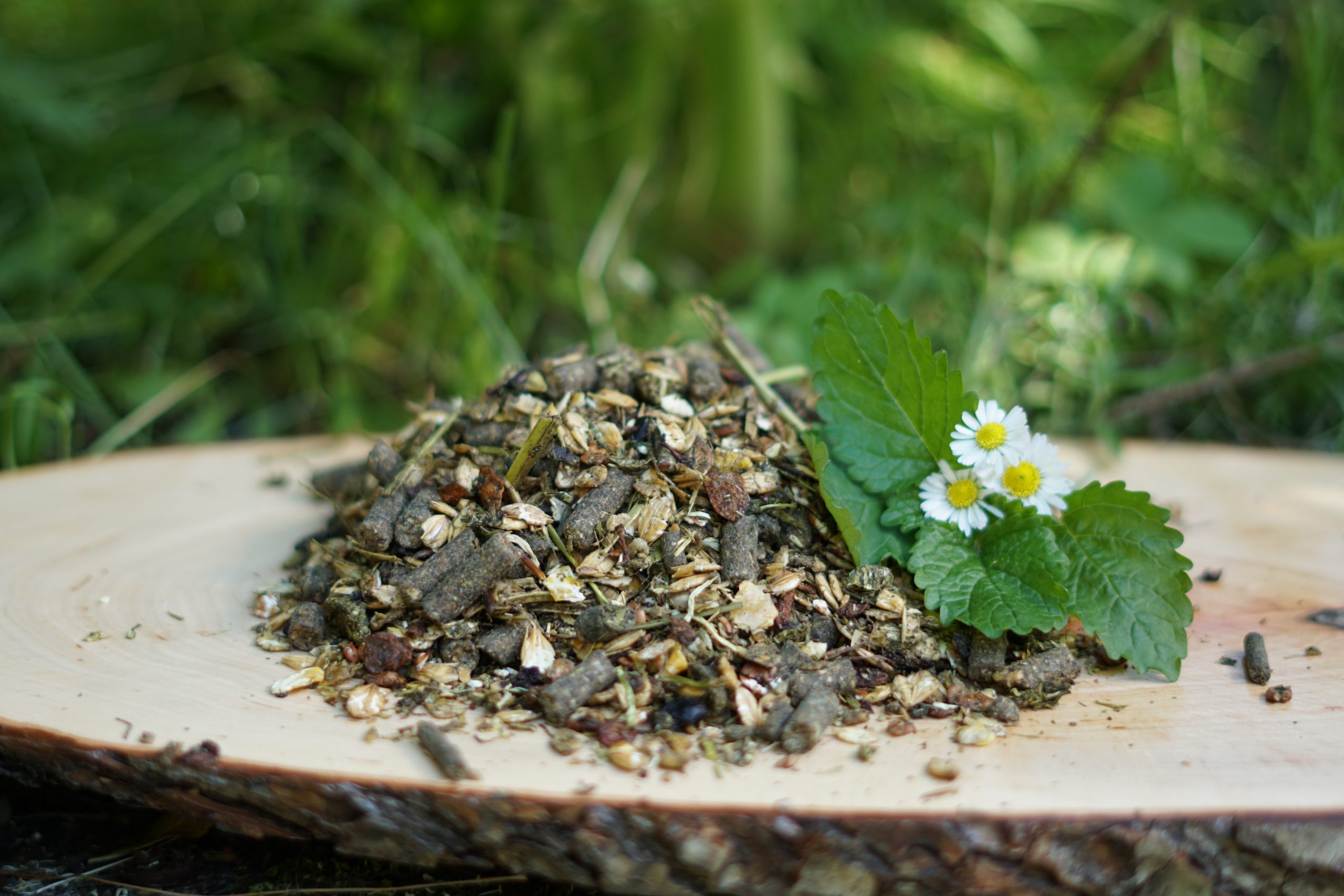 Pferdemüsli mit Blume auf Holz
