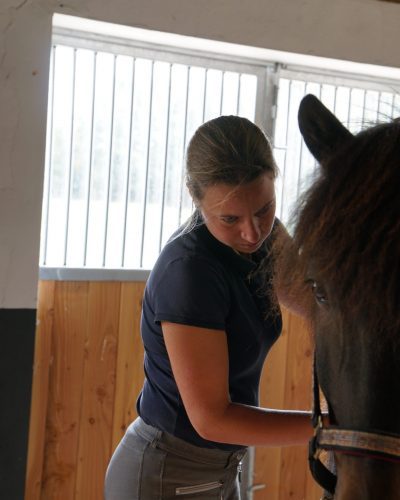 Dr. Lisa Marholt putzt ein Pferd im Stall.